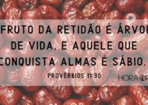 muitas tâmaras muitos frutos Provérbios 11:30