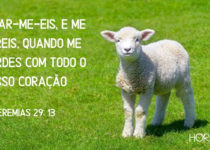 Ovelha na grama verde Jeremias 29:13