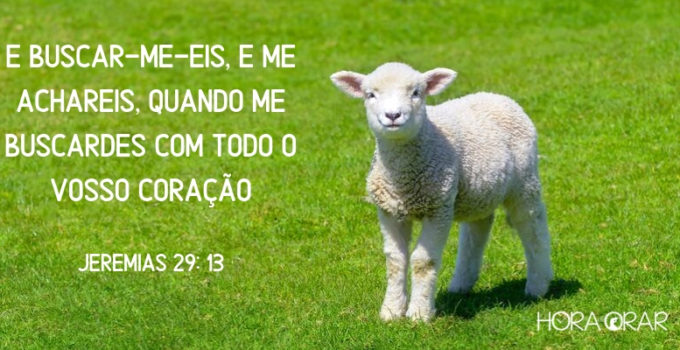 Ovelha na grama verde Jeremias 29:13