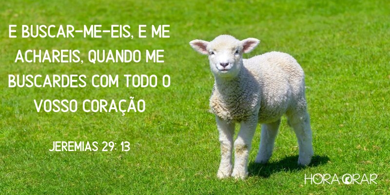 Ovelha na grama verde Jeremias 29:13