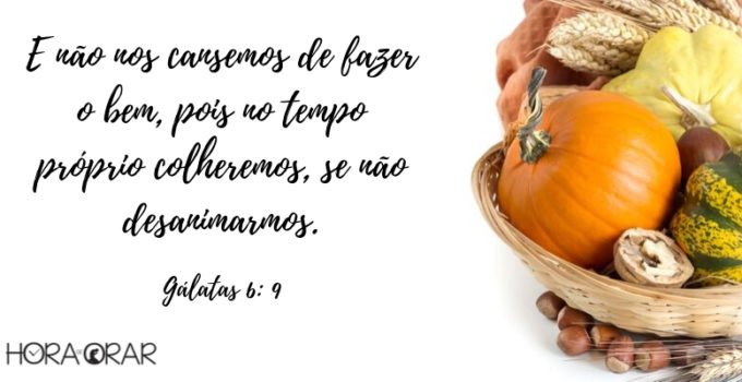 Bandeja com colheita Gálatas 6:9