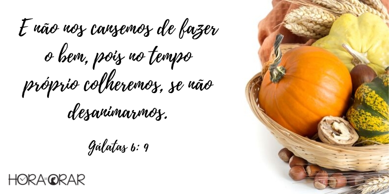 Bandeja com colheita Gálatas 6:9