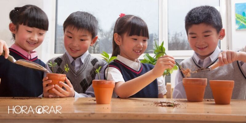 crianças orientais plantando somente colhe quem planta