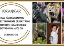 Por isso não desanimamos embora exteriormente desgastados interiormente estamos sendo renovados dia após dia 2 Corintios 4:16