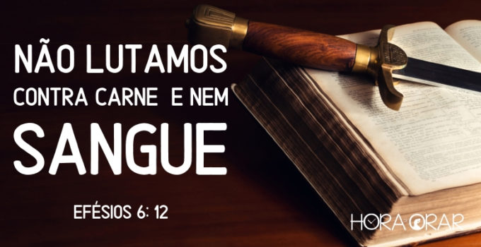 Não lutamos contra carne e nem sangue. Efésios 6:12