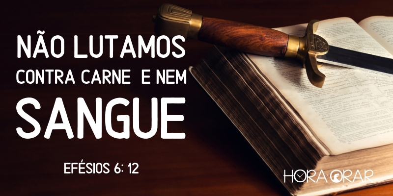 Não lutamos contra carne e nem sangue. Efésios 6:12