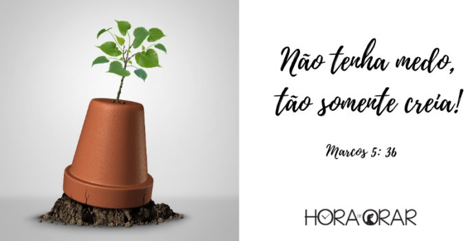 Vaso caido com a boca para baixo, mas planta está nascendo igual. Marcos 5: 36