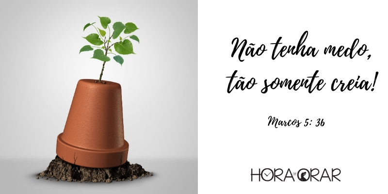 Vaso caido com a boca para baixo, mas planta está nascendo igual. Marcos 5: 36