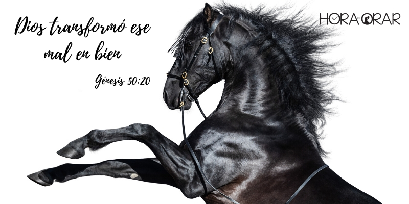 Caballo salvaje. Génesis 50: 20