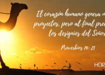 Un camello en el desierto. Proverbios 19: 21