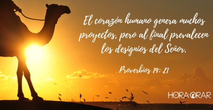 Un camello en el desierto. Proverbios 19: 21