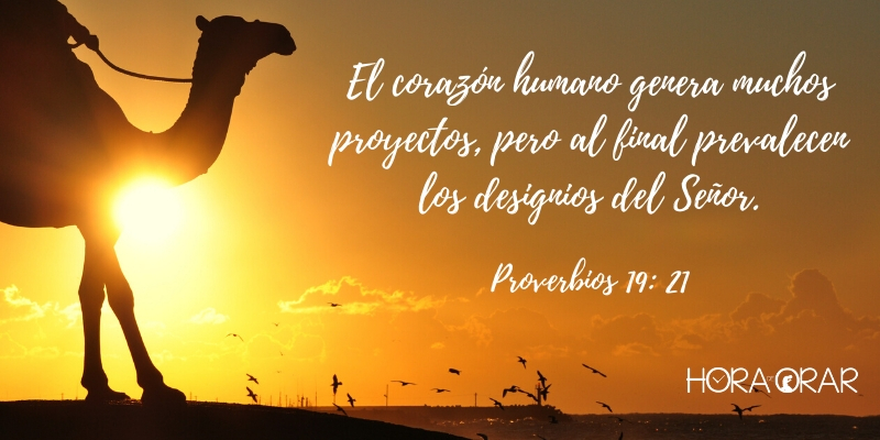 Un camello en el desierto. Proverbios 19: 21