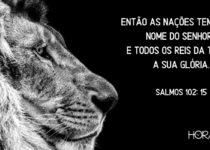 Um leão e o fundo negro. Salmos 102: 15
