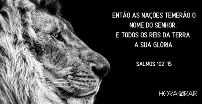 Um leão e o fundo negro. Salmos 102: 15