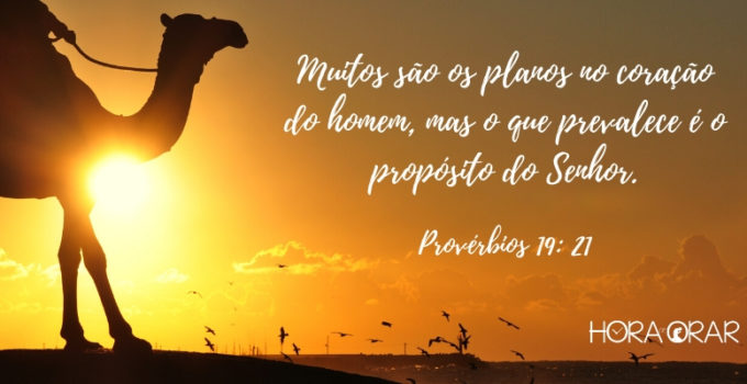 Um camelo no deserto. Proverbios 19: 21