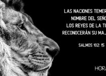 Un león con fondo de pantalla negro. Salmos 102: 15