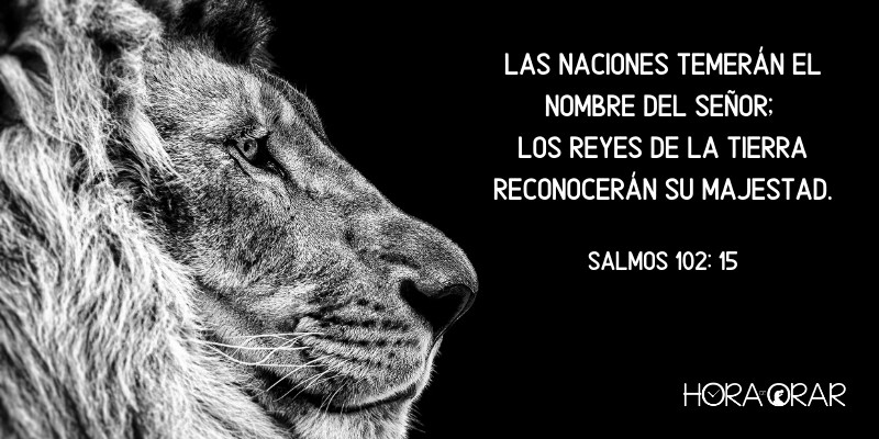 Un león con fondo de pantalla negro. Salmos 102: 15