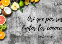 Frutos en fondo de pantalla gris. Mateo 7 :20