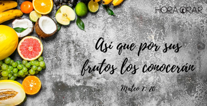 Frutos en fondo de pantalla gris. Mateo 7 :20