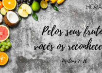 Frutos em fundo cinza com branco. Mateus 7: 20