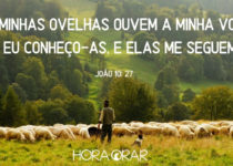 Pastor com suas ovelhas. João 10:27