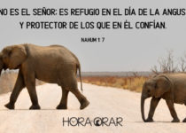 Elefanta mamá y elefante hijo. Nahum 1:7