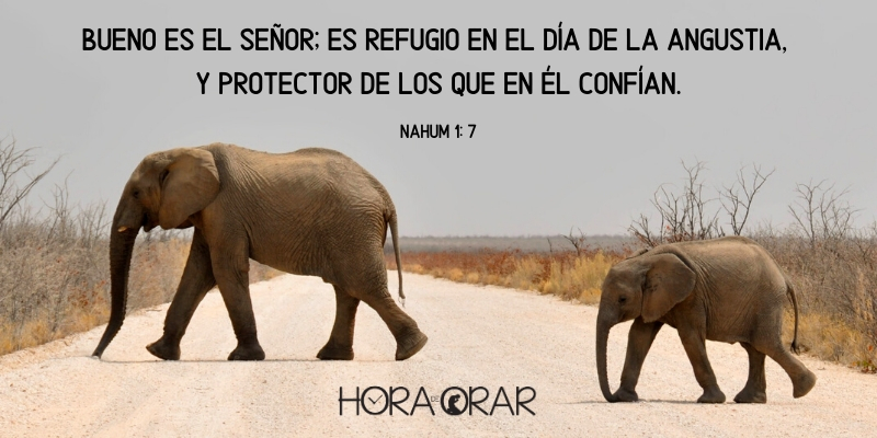 Elefanta mamá y elefante hijo. Nahum 1:7