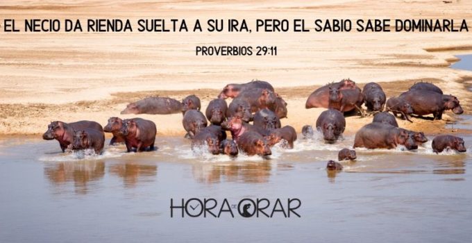 Hipopótamos. Proverbios 29:11