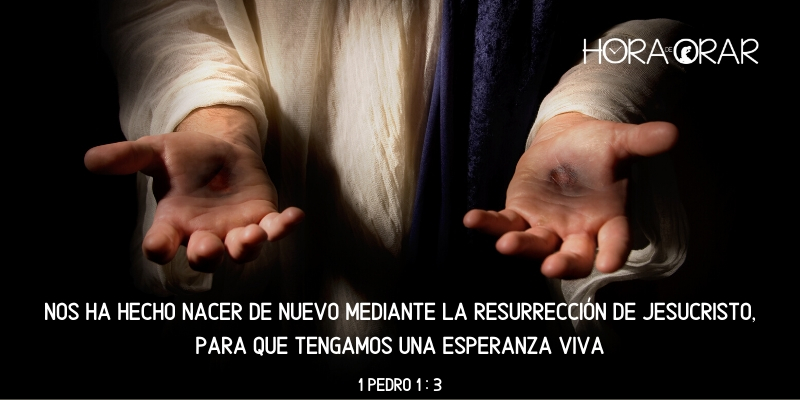 Las manos heridas de Cristo. 1 Pedro 1:3