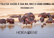 Hipopótamos. Provérbios 29:11