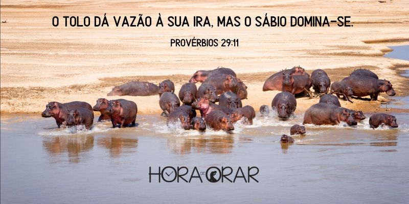 Hipopótamos. Provérbios 29:11