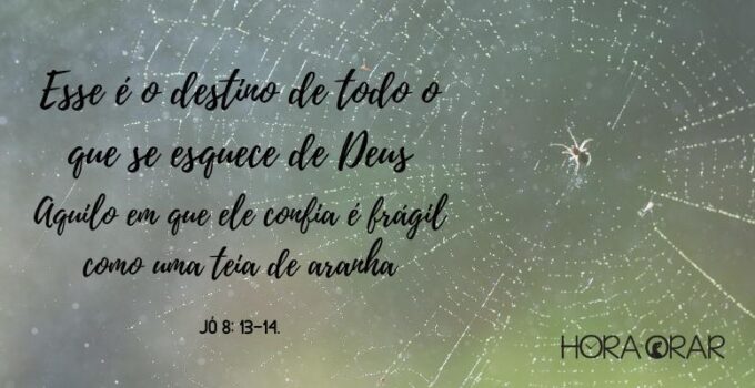 Uma teia de aranha. Jo 8:14