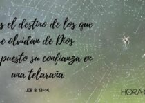 Una tela araña. Job 8:14