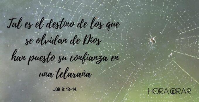 Una tela araña. Job 8:14