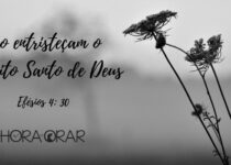 Uma planta seca. Efesios 4:30