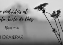 Una planta seca. Efesios 4:30