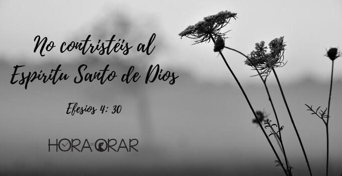 Una planta seca. Efesios 4:30