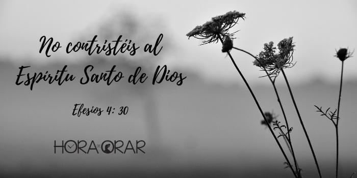 Una planta seca. Efesios 4:30