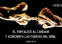 Una cuerda, muy cerca a romperse. Isaías 40:29