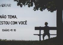 Menino sentado em um banco baixo uma árvore. Isaías 41:10