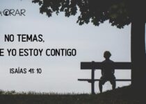 Un niño sentado bajo un árbol. Isaías 41:10