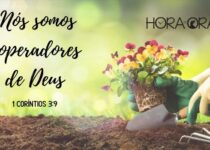 Plantando flores. 1 Corintios 3:9