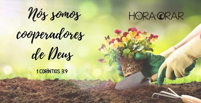 Plantando flores. 1 Corintios 3:9
