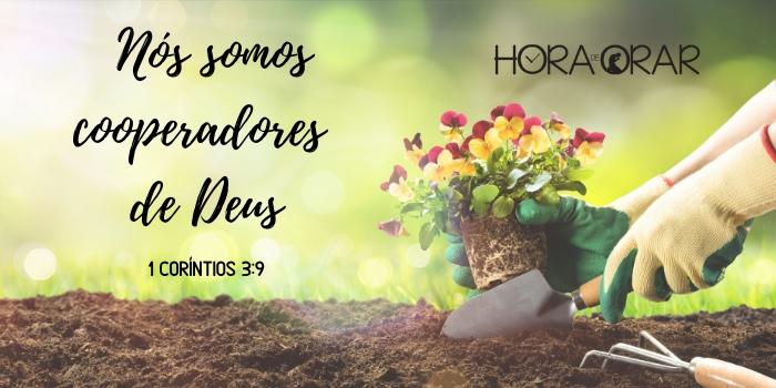 Plantando flores. 1 Corintios 3:9