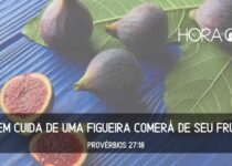 Figos sobre uma mesa. Proverbios 27:18