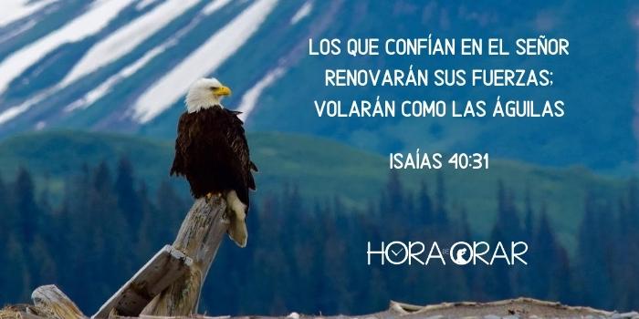 El águila y el cuervo - Hora de Orar - Devocional Diário