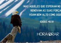 Uma águia e uma bela paisagem. Isaías 40:31