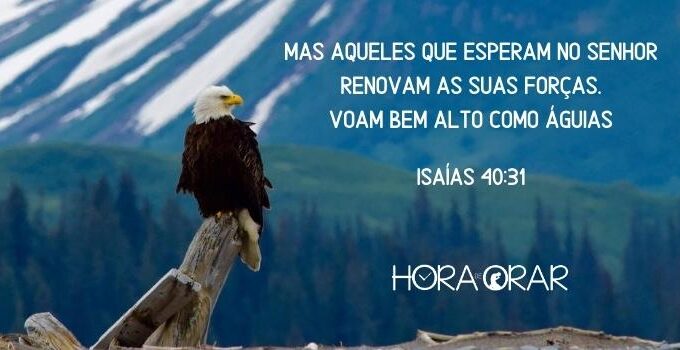 Uma águia e uma bela paisagem. Isaías 40:31