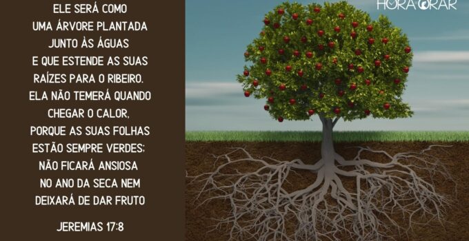 Uma árvore com muitos frutos e uma raíz muito profunda. Jeremias 17:8