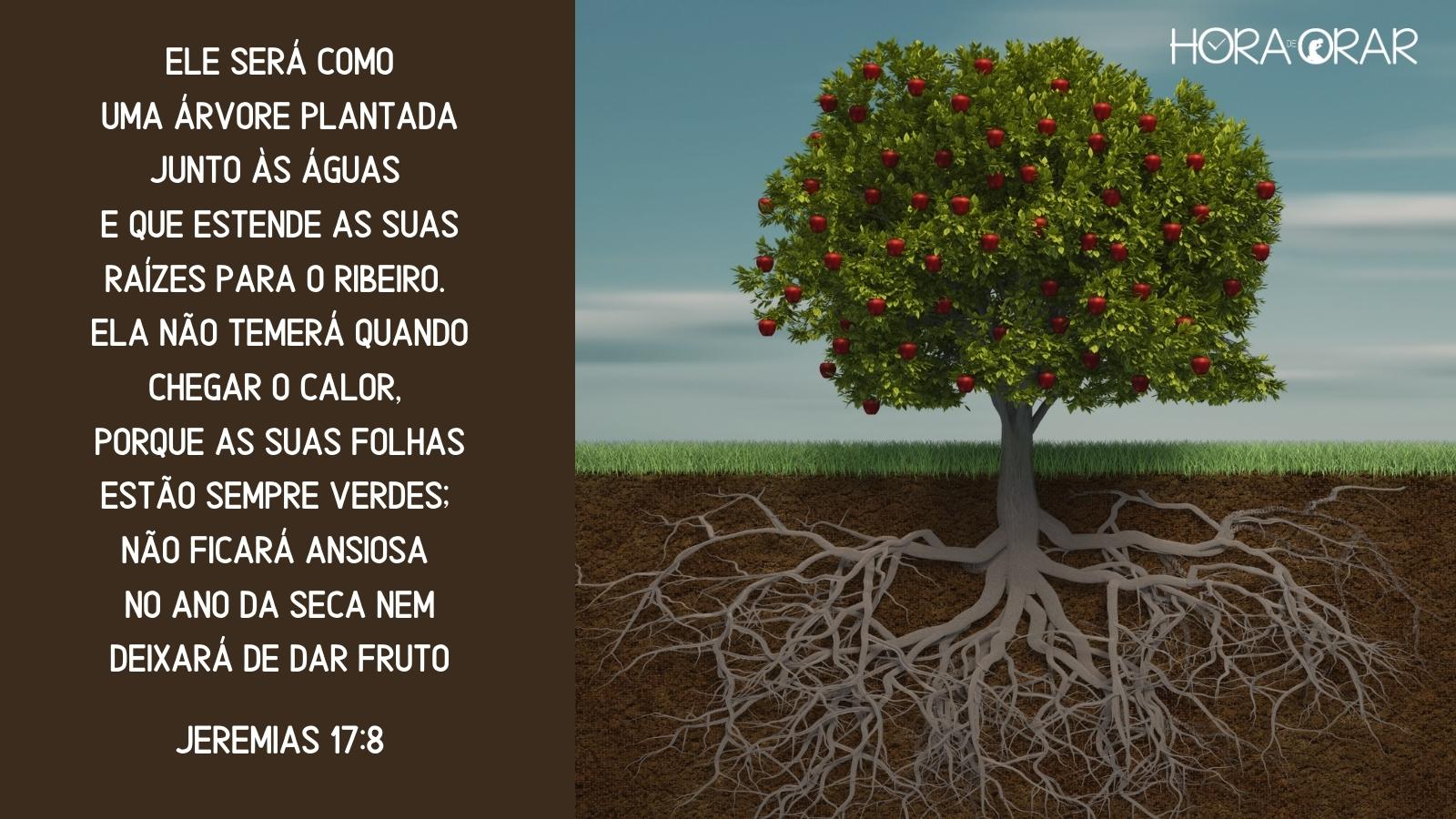 O vento e a raíz - Hora de Orar - Devocional Diário
